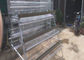 De Kooi van draadmesh layer chicken cages battery met Automatisch Kip het Voeden Systeem