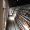 De commerciële Dierlijke Automatische Kooi van de Kippenlaag voor het Materiaal van het Gevogeltelandbouwbedrijf