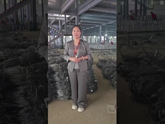 Onzichtbaar draadnet Workshop Show