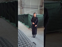 Model 10 van de verdedigingsbarrière - Uitleg van dichtbij