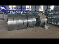 Gegalvaniseerd scheermes prikkeldraad kruis scheermesdraad hek BTO-22