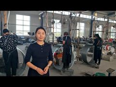 Hot Dip gegalvaniseerd Razor Concertina draad spoel voor gevangenis hek