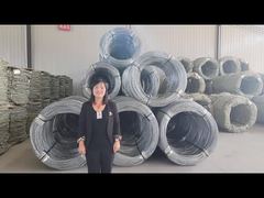 Bto 22 Bto 30 Cbt 60 Cbt65 Anti-roest scheermesjes prikkeldraad 500mm spoeldiameter Concertina