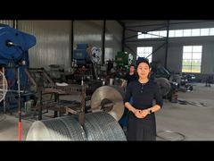 Roestvrijstalen kruisvormige scheermesdraad omheining BTO-16 BTO-22 BTO-60 CBT-65 Scheermesdraad prikkeldraad omheining