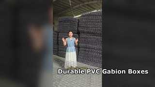 Gegalvaniseerde ijzerdraad gaas PVC gecoate Gabion-doos