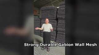 Gegalvaniseerd ijzerdraad zeshoekig PVC gecoat gabion muur keermuur gaas 80x100mm