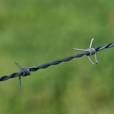 prikkeldraad beveiligings hek gegalvaniseerd hek met prikkeldraad lemm prikkeldraad prikkeldraden gegalvaniseerd plastic prikkeldraad boerderij hek prikkeldraad prikkeldraad hek rol
