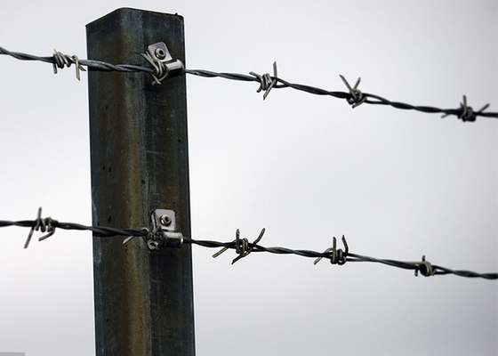 Gebruik van gevangenismuren van gegalvaniseerde prikkeldraad