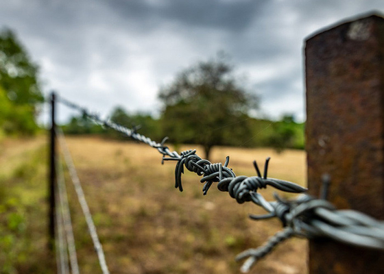 Tuinbedekking enkelstreng staaldraad prijs per rol