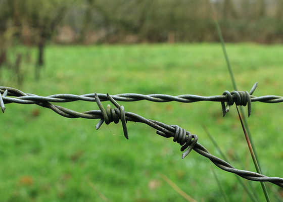Landbouwbescherming enkelstreng staaldraad prijs per rol