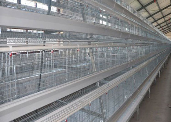 De grote Capaciteit galvaniseerde Automatische Laag Hen Cages For 160 Kippen