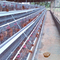 Landbouw A-type mini pluimveekooien Kippenlaag 4 Tier 160 vogels