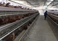 96 Vogelbatterijkooien kippenhouderij pluimveehouderij voor legkippen