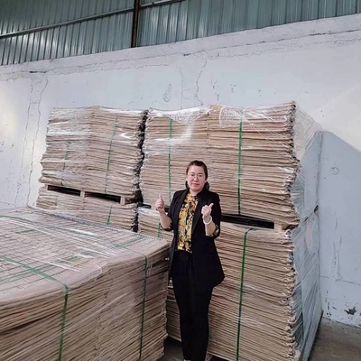Lange levensduur UV-bestendige geotextielmateriaal Hesco Muurbarrière Bastion Militaire barrière mand hek zandcontainer zak