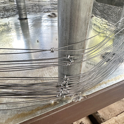 Warm verkrijgbaar Tankbarrières Mesh Steel Wire Mesh Trap Netting Rusland