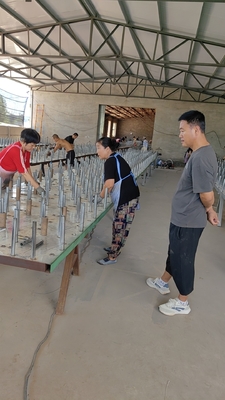Verkoop Tank Barrier Winding Net Track Protection Net Low-visibility Wire Mesh Net