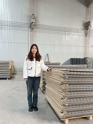20 cellen Beschermende muur Hesco legerdraad Tensile 500-800mpa