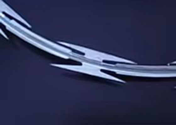 Single Coil Concertina Razor prikkeldraad prikkeldraad donkergroen van geverfd ijzer