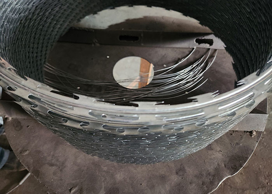 Dubbel gedraaid gegalvaniseerd staal PVC bekleed scheermes hek draad muur spijk rechtstreeks afkomstig
