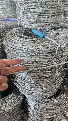 prikkeldraad beveiligings hek beveiligings prikkeldraad lemp prikkeldraad prikkeldraad gegalvaniseerde prikkeldraad boerderij hek prikkeldraad prikkeldraad rollen voor vee