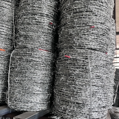 Warm gedompelde gegalvaniseerde hekken met hoge treksterkte prikkeldraad 1,6 mm 300 mm