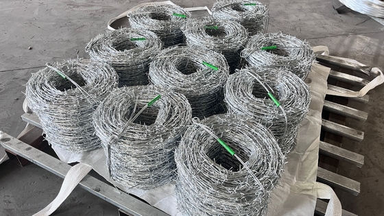 KN Warmverkopende heksen prikkeldraad Elektro gegalvaniseerde prikkeldraad