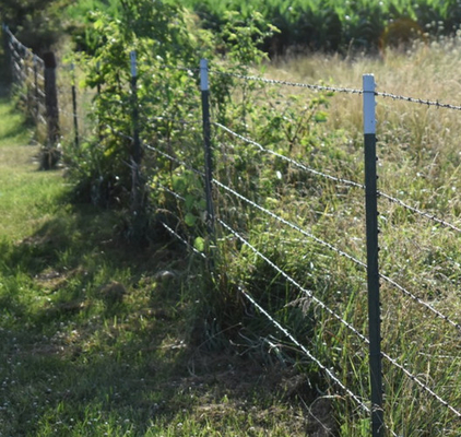 Groothandel High Tensile Twist Galvanized Barbed Wire 14 gauge met 3 of 4 inch barb afstand