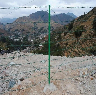 hoge treksterkte prikkeldraad gaas hek elektrisch prikkeldraad 125 maat prikkeldraad 10kg prikkeldraad prijs in bangladesh aluminium legering prikkeldraad bewaking diefstal