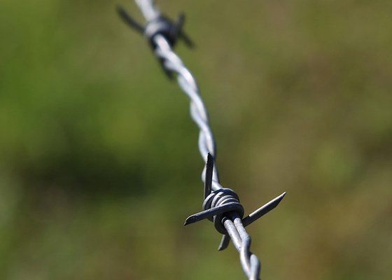 Gebruik van gevangenismuren Anti-klim Single Strand PVC bedekte ijzeren prikkeldraad