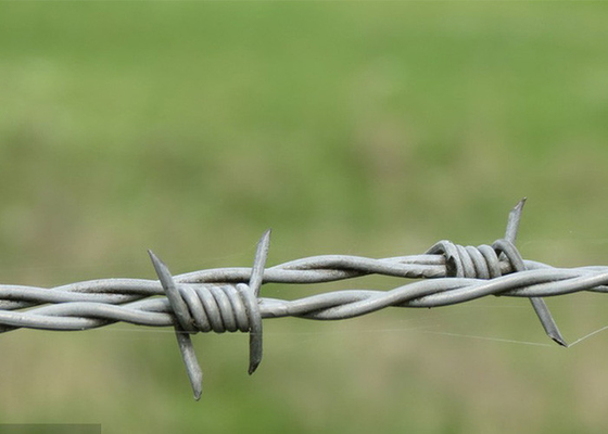 Gebruik van gevangenismuren Anti-klim Dubbelstreng Reverse Twist prikkeldraad