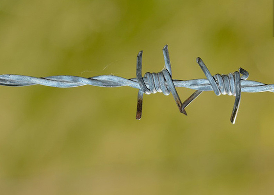 Gebruik van gevangenismuren Dubbel gedraaide PVC-gecoate / gegalvaniseerde prikkeldraad spoelen