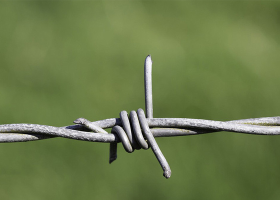 Gebruik van gevangenismuren Dubbelstreng Traditionele Twist gegalvaniseerde prikkeldraad spoelen