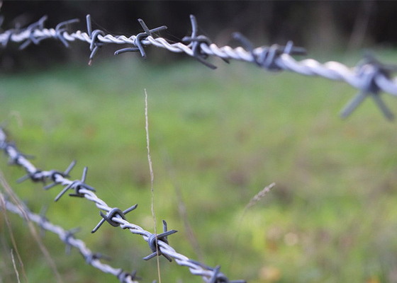 Gebruik van gevangenismuren Dubbelstreng omgekeerde draai van staal prikkeldraad