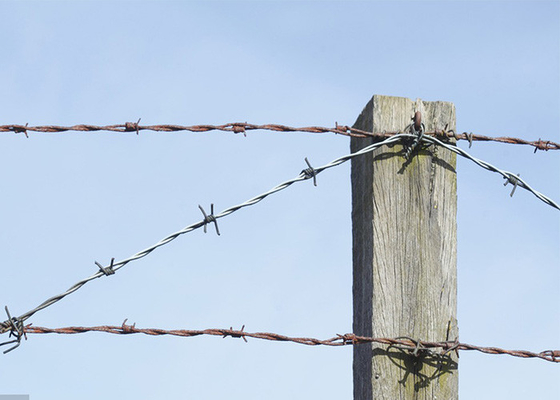 Tuin anti-diefstal enkelstreng gegalvaniseerd staaldraad hek