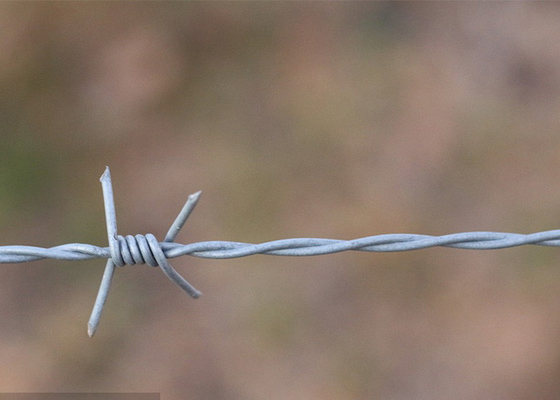 Tuin anti-diefstal dubbelstreng traditioneel draaiend elektro prikkeldraad spoelen
