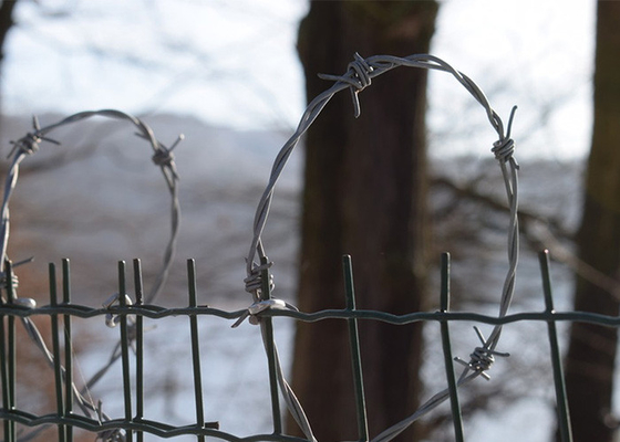 Tuin anti-diefstal anti-klim hot dip gegalvaniseerde prikkeldraad rol