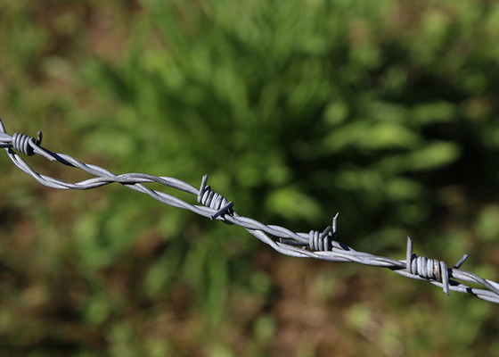Tuin anti-diefstal Twist 3 of 4 inch Barb afstand Hot Dip gegalvaniseerde prikkeldraad