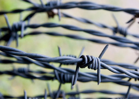Tuin anti-diefstal lengte 200m roestvrij staal prikkeldraad prijs per rol