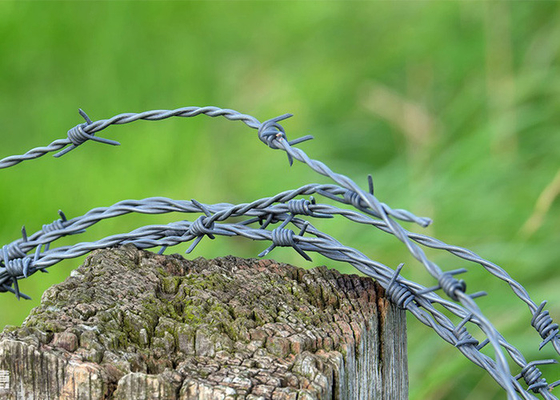 Tuin Anti-diefstal lengte 200m Single Strand Hot Dip gegalvaniseerd prikkeldraad