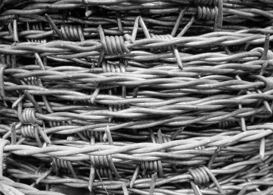 Tuin Anti-Diefstal 12,5 Gauge Dubbel Twisted gegalvaniseerde prikkeldraad