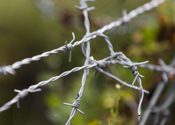Bescherming van landbouwbedrijven Dubbelstreng Traditionele Twist Electro Barbed Wire Coils