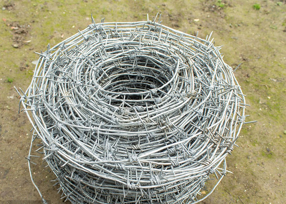 Voor de bescherming van landbouwbedrijven: warm gedompeld galvaniseerd staaldraad