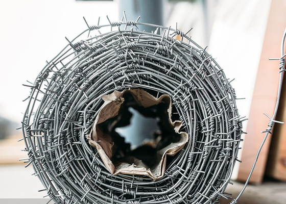 Bescherming van hekken en hekconstructies Dubbelstreng Traditionele spin van prikkeldraad