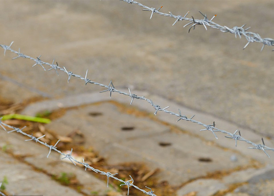Roestbestand Dubbel gedraaide, warm gedompelde gegalvaniseerde prikkeldraad spoelen