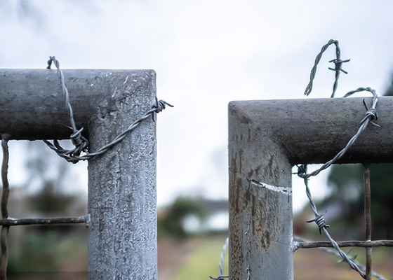 Roestbestand Twist 3 of 4 inch Barb Distance Hot Dip Galvanized prikkeldraad