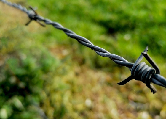 Elektrogalvaniseerde prikkeldraad voor isolatie en bescherming