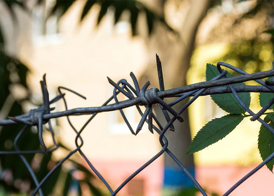 Gemakkelijk en eenvoudig te onderhouden prikkeldraad voor veiligheidsdoeleinden