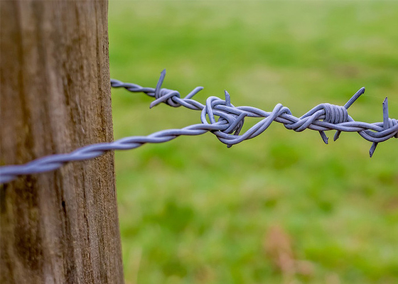Elektrogalvaniseerde prikkeldraad voor isolatie en bescherming