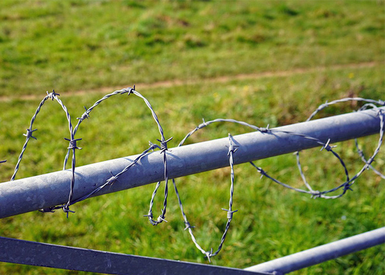 Roestvastheid Eénstreng gegalvaniseerd staaldraad hek constructiebescherming