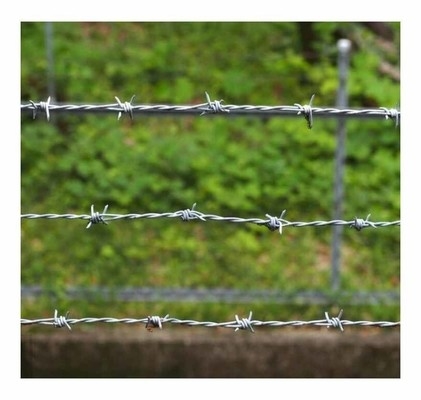 Spiraalstaaldraad Defensief gegalvaniseerd prikkeldraad Installatie Veiligheids hek